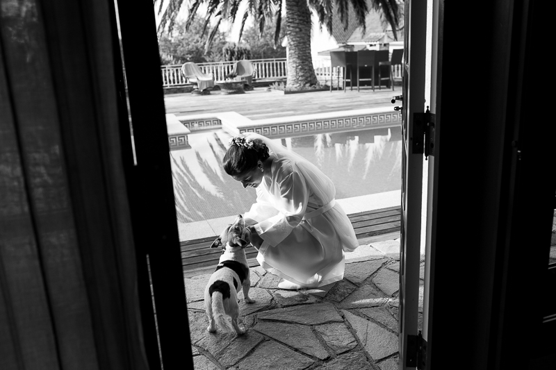 Fotografia de boda en Santiago de Compostela , novia con su perro en los preparativos